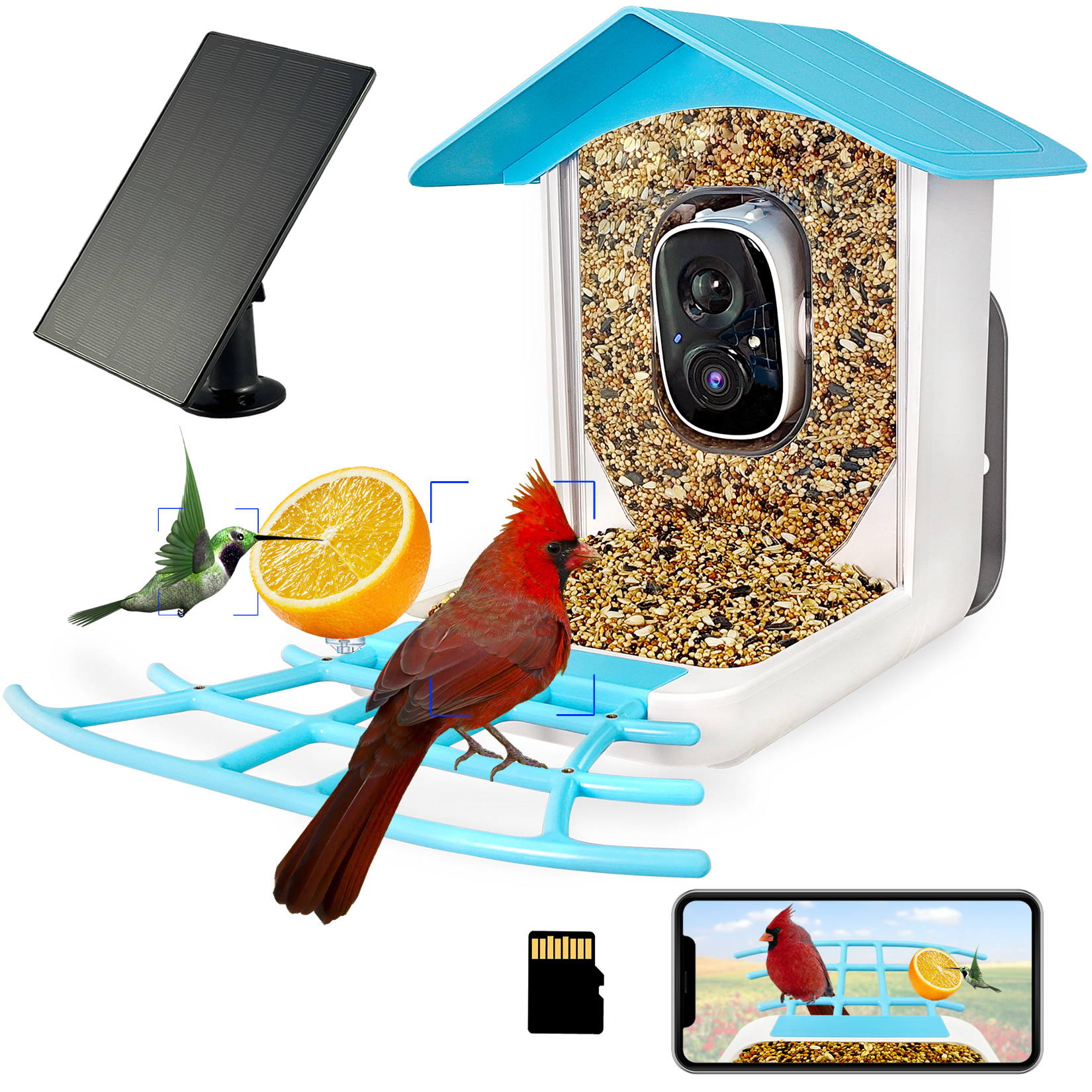 001 bird feeder with camera.jpg